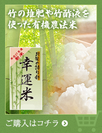 竹の堆肥や竹酢液を使った有機農法米